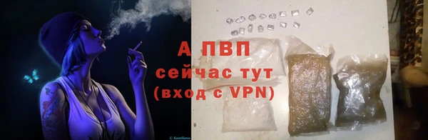 a pvp Алзамай