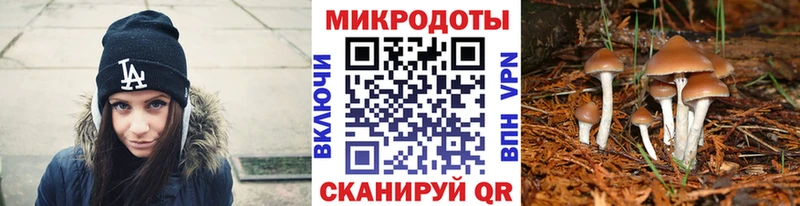 Галлюциногенные грибы мухоморы  даркнет официальный сайт  Карачаевск  как найти закладки 